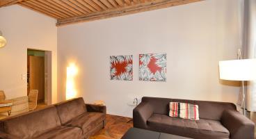 Appart Ambiance - Beaujolais Lione Esterno foto